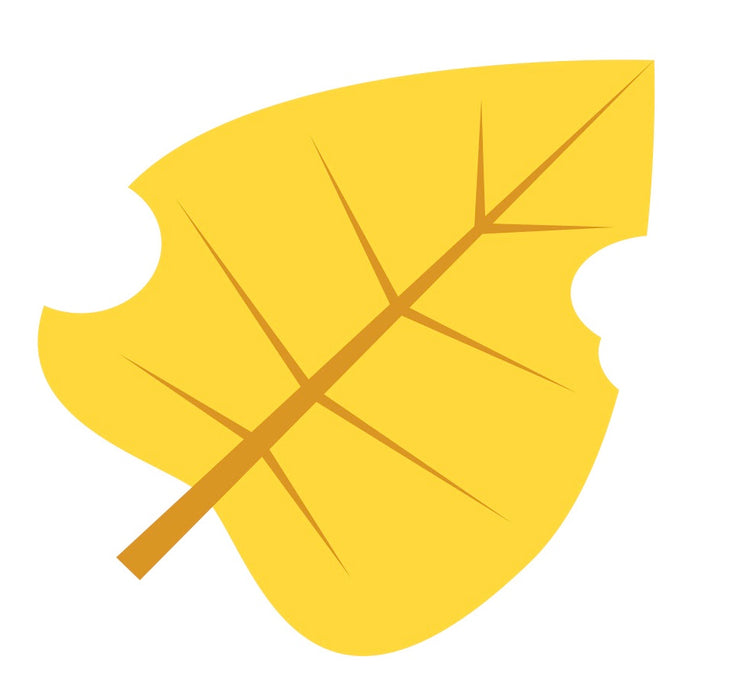 Ultimate Autumn Shades 2022