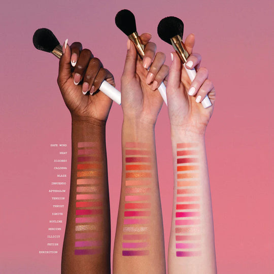 MASTERCLASS PRO CHEEK PALETTE - Blend Bunny Cosmetics