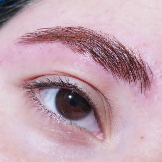 Chestnut (Brown) Spectra Brow - Brow Cream - Glisten Cosmetics