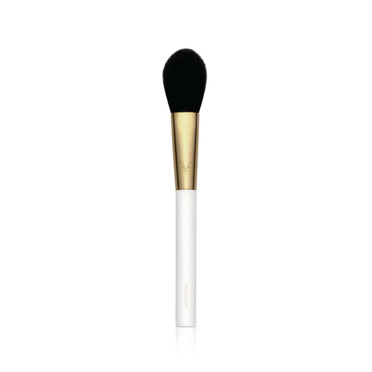 MASTERCLASS PRO MAKEUP BRUSHES - Blend Bunny Cosmetics